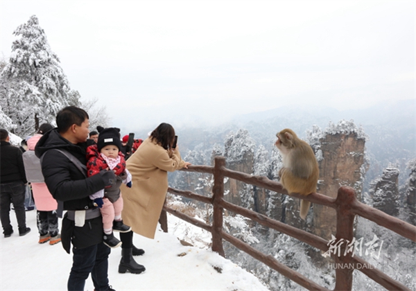 Zhangjiajie Snowy scenery attracts numerous tourists
