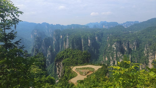 Zhangjiajie rice fields in the air