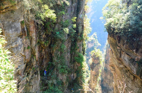 Cliff cleaners attract tourists in Zhangjiajie