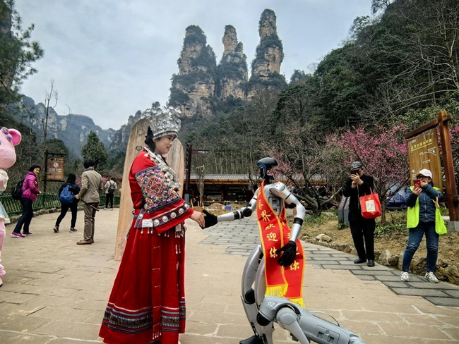 Robots and robotic dogs delight tourists in Zhangjiajie