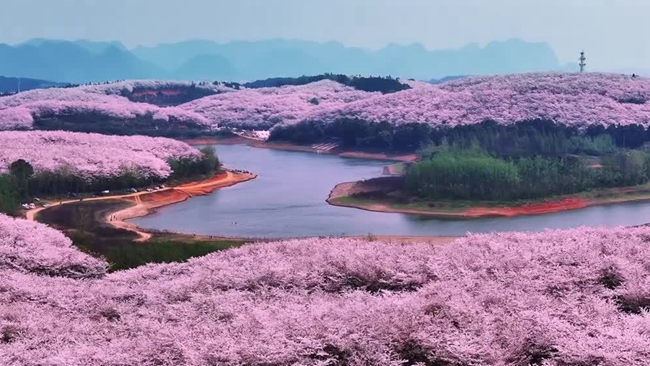 8D7N Spring tour for Chongqing-Wulong-Guiyang-Pingba-Huangguoshu-Xijiang-Fanjinshan-Chongqing