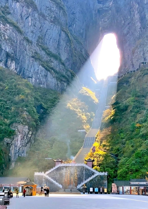 Чжанцзяцзе Золотая линия 5D4N:Аватар Парк + Тяньмэнь Горный Парк + Гранд Каньон и Стеклянный мост + Феникс