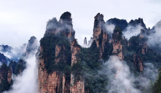 Sea of clouds drape Zhangjiajie's peaks in misty splendor