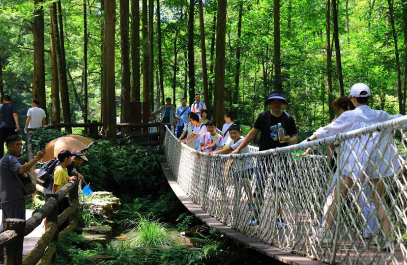 Zhangjiajie draws summer crowds with forest escapes