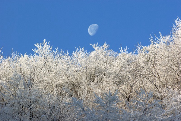 Zhangjiajie snow2.jpg