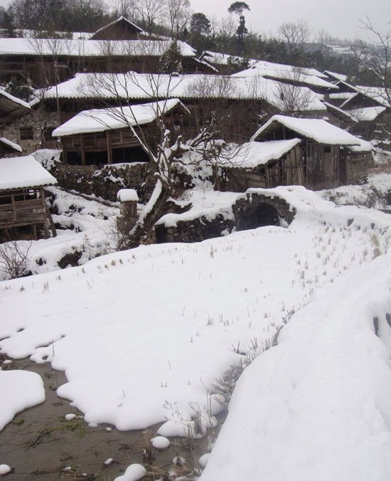 ZJJ cottage snow1.jpg