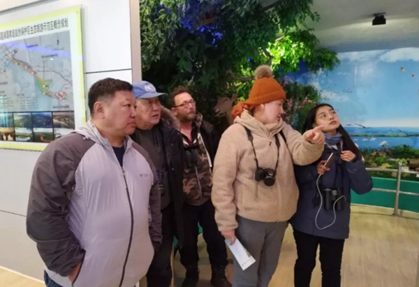 Chinese,Russian,Mongolian Experts Survey Cranes in Yueyang