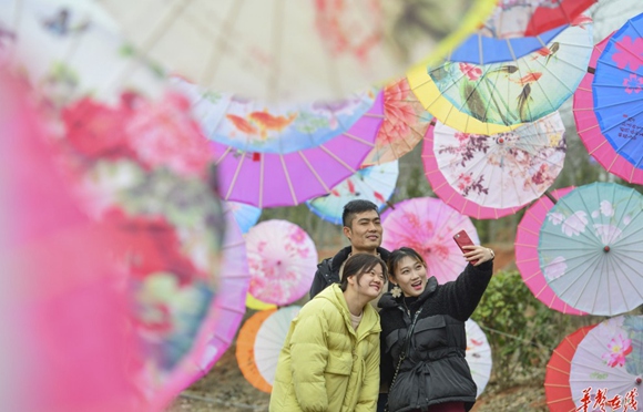 Oil-paper Umbrella.jpg