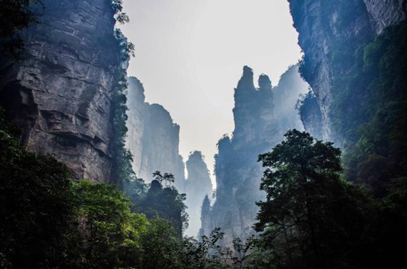 1769340675108315.jpg WULINGYUAN.jpg