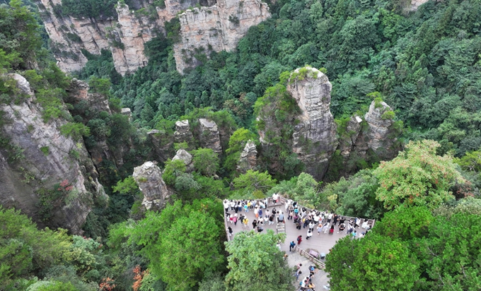1788665300794144.jpg ZJJ Forest Park_副本.jpg